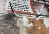 COW SKULL WRAPPED IN BARN ROPE 45IN