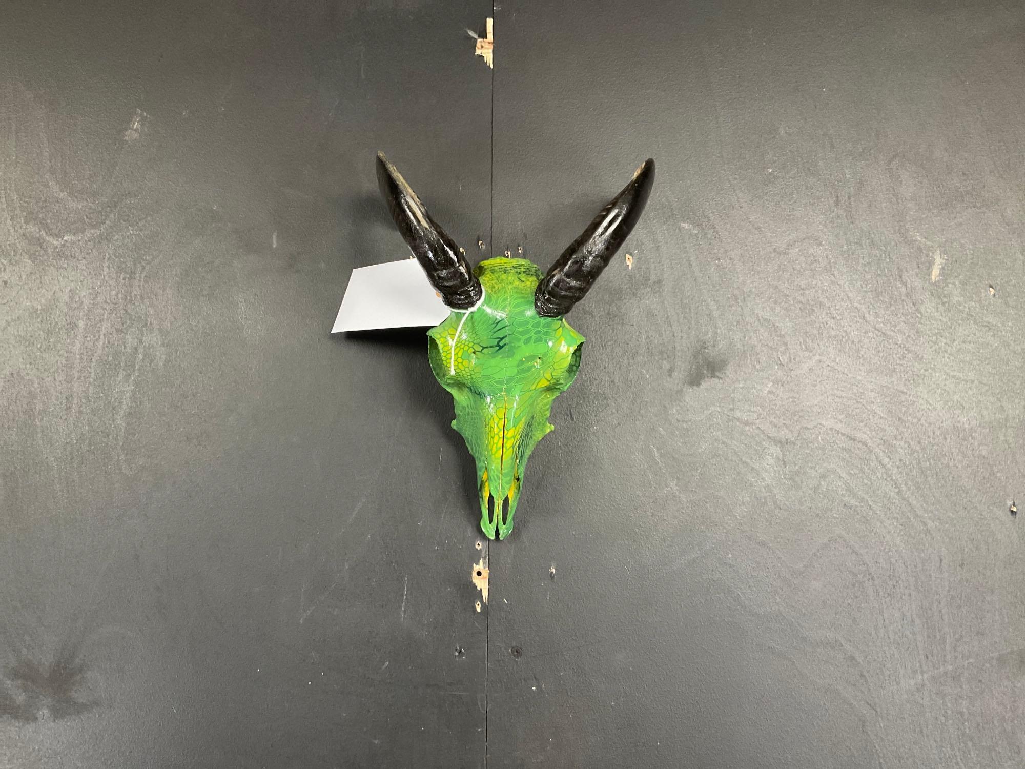 Taxidermy Ewe Sheep Skull Green Dipped | Proxibid
