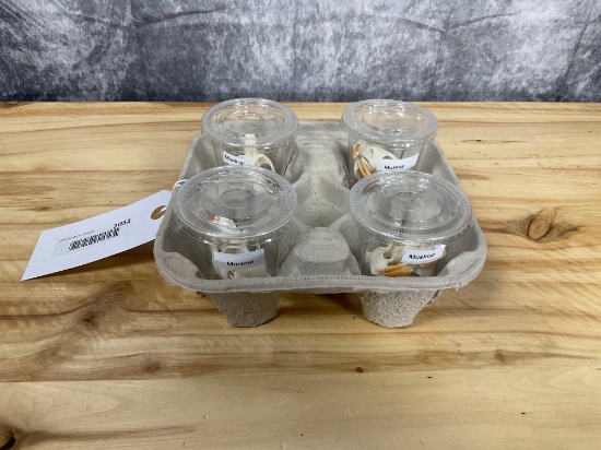 4 Muskrat Skulls Good Condition