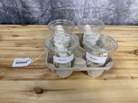 4 Raccoon Skulls Good Condition