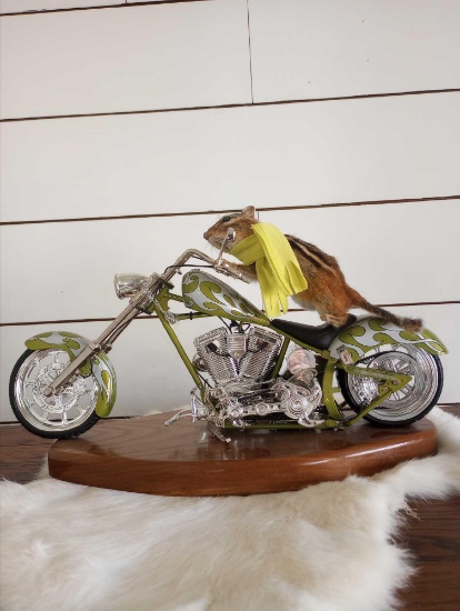 Brand New Highwayman Chipmunk on Chopper