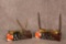 2-BEAR AND SONS INDIA STAG AND STAG BONE