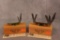 2 BEAR AND SONS SPECIAL EDITION KNIVES