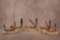 5- 2019 CASE XX NATURAL BONE TOASTED COLOR WASH. 6207W, 62132, 6254, 6344, TB612010