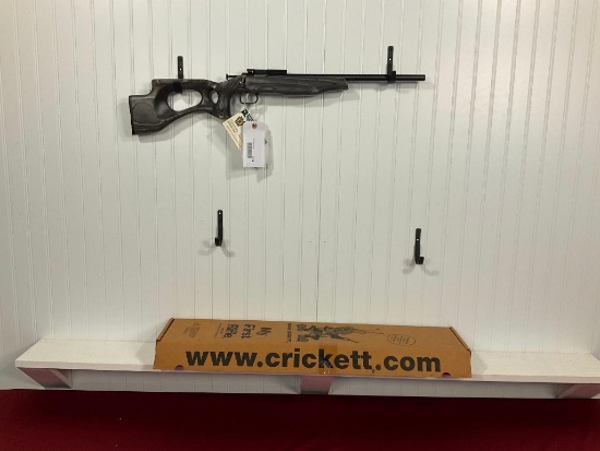 DAVY CRICKETT 22 SL/LR, NIB, DELUXE TARGET MODEL