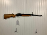 SAVAGE 24S-E, 22 LR/410
