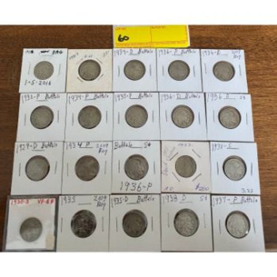 (20) Buffalo Head Nickels