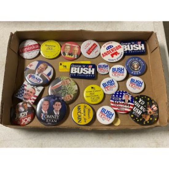 Political pins