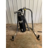 Everlast Punching Bag & Stand