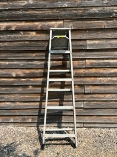 6 Ft Aluminum Ladder
