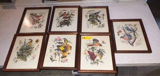Bird Prints