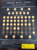 Indian Head Penny Collection