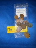 27 Indian Head Pennies