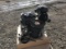 Kawasaki FX921V Engine
