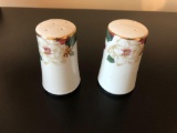 Salt and pepper shakers - Magnolia Pattern