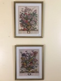 Pair of Framed July & April print - From the Collection of Rob Furber Gardiner at Kensington