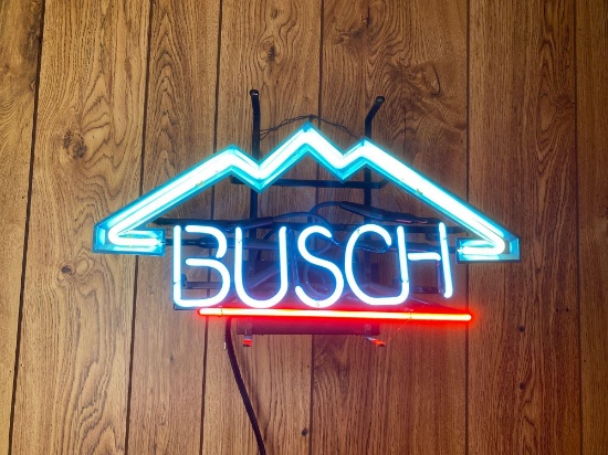 Busch Neon Light Display