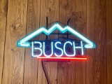 Busch Neon Light Display