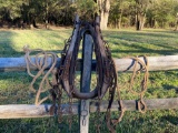 Antique Mule Collar and Leads