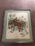 Signed Elizabeth Paxton Oliver Cedar Waxing Print