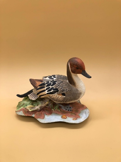 Hamilton Duck Collection