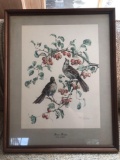 Brown Thrasher Print By Cecil Golding