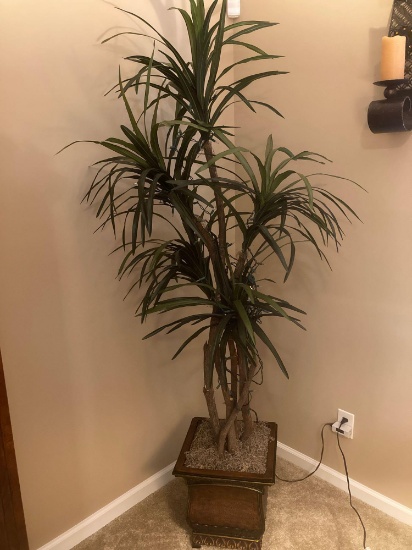 Medium decorative houseplant