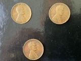 1909 VDB Lincoln Cent Lot of 3