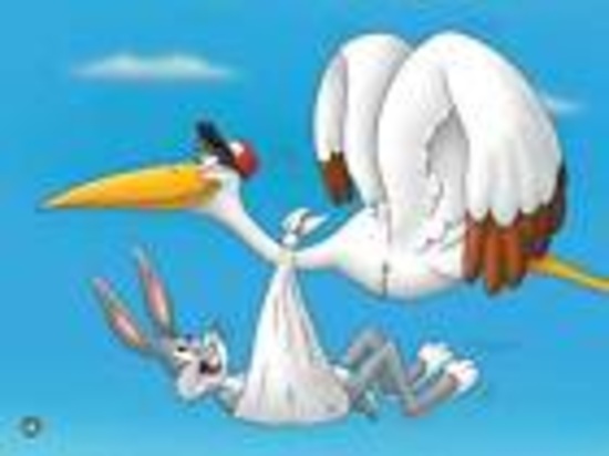 Warner Bros. "Special Delivery" Bugs Bunny Stork Baby Animation Giclee Gift