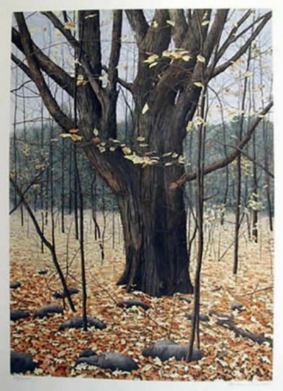Helen Rundell Hand Signed /# Lithograph "Old Oak"