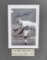 Sandy Koufax Autographed matted photo SPORTS