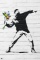 Banksy Flower Bomber Figurative Illustration offset Lit