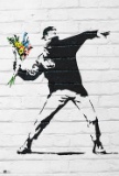 Banksy Flower Bomber Figurative Illustration offset Lit
