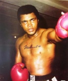 memorabilia Muhammad Ali Autographed 8x10 Color