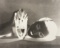 Man Ray, Noire et Blanche (reverse negative print), 1926