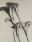 Man Ray, Arums Lilies, 1930 - First Edition