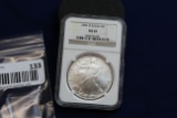 2006-W Silver Eagle