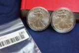 2001 & 2002 Silver Eagles