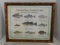 Favorite Fishes of Catawba Lakes Framed Poster