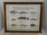 Favorite Fishes of Catawba Lakes Framed Poster