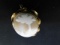 Large Shell Cameo Pin/Pendant