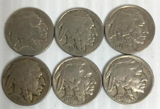 6-Buffalo Nickels