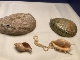 Shells and Beads Lot