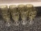Lot of Eight Art Glass Tea Glasses