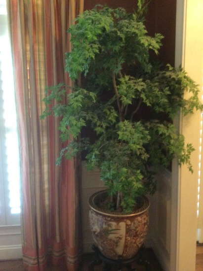 Oriental Planter with Tree and Stand