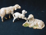 Sheep Family #51539