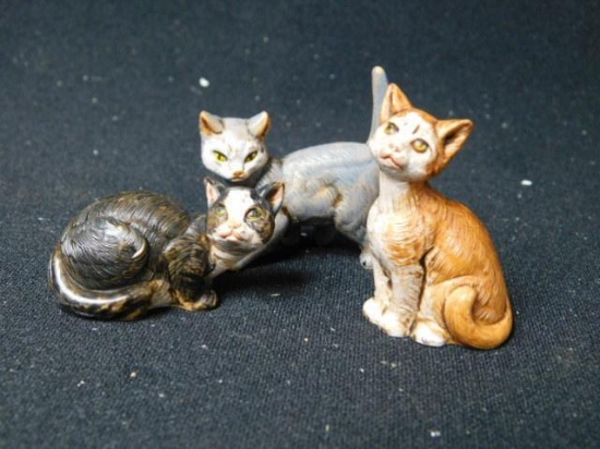 3 Cats