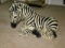 Large Zebra Figure Made by Marwal Ind. Inc.