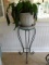 Wrought Iron Plant Stand w/Plant