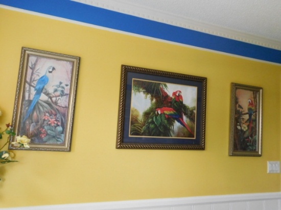 3 Bird Prints